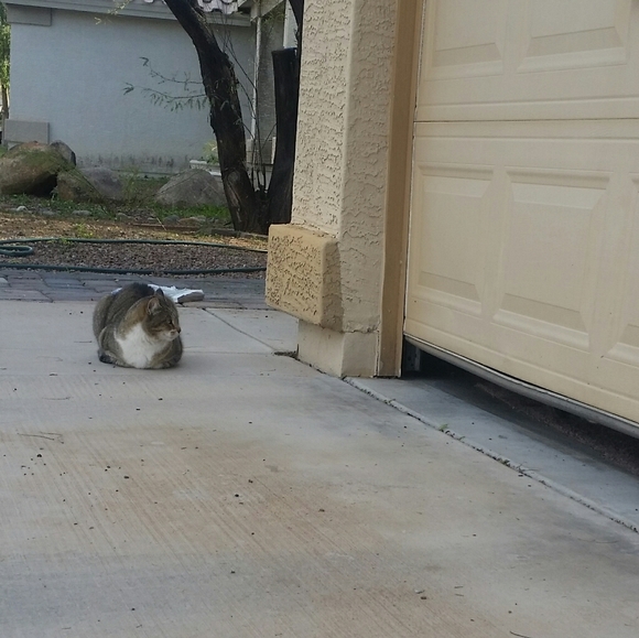 🎍Happy 2024 year of the 🪵 dragon 🎋🎍🎉 - Picture 7 of 17